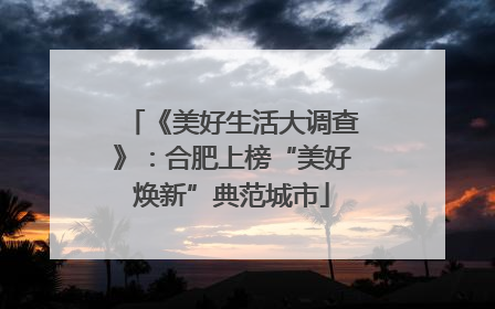 《美好生活大调查》：合肥上榜“美好焕新”典范城市