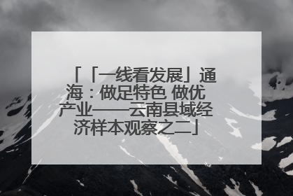 「一线看发展」通海：做足特色 做优产业——云南县域经济样本观察之二