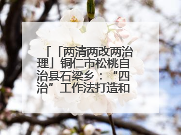 「两清两改两治理」铜仁市松桃自治县石梁乡：“四治”工作法打造和美新农村