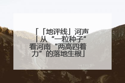 「地评线」河声丨从“一粒种子”看河南“两高四着力”的落地生根