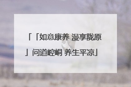 「如意康养 漫享陇原」问道崆峒 养生平凉