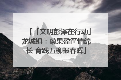 「文明彭泽在行动」龙城镇：桑果盈筐情绵长 育践五柳报春晖