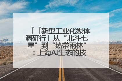 「新型工业化媒体调研行」从“北斗七星”到“热带雨林”：上海AI生态的技术商业共生密码