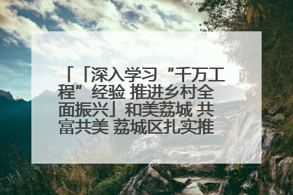 「深入学习“千万工程”经验 推进乡村全面振兴」和美荔城 共富共美 荔城区扎实推进乡村振兴工作