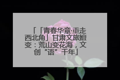 「青春华章·重走西北角」甘肃文旅嬗变：荒山变花海，文创“语”千年