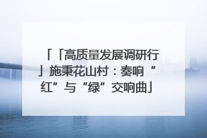 「高质量发展调研行」施秉花山村：奏响“红”与“绿”交响曲