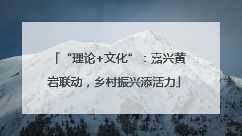 “理论+文化”：嘉兴黄岩联动，乡村振兴添活力