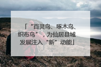 “百灵鸟、啄木鸟、织布鸟”，为仙居县域发展注入“新”动能