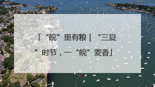“皖”里有粮｜“三夏”时节，一“皖”麦香