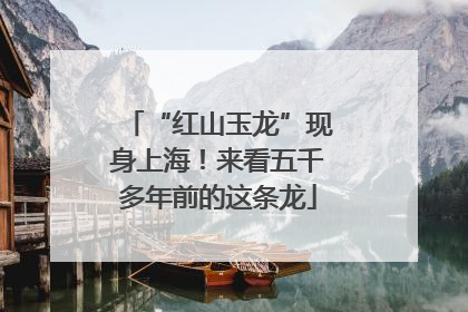 “红山玉龙”现身上海！来看五千多年前的这条龙
