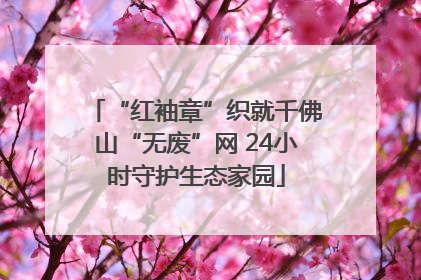 “红袖章”织就千佛山“无废”网 24小时守护生态家园