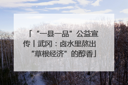 “一县一品”公益宣传丨武冈：卤水里熬出“草根经济”的醇香