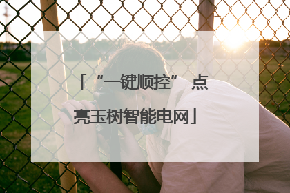 “一键顺控” 点亮玉树智能电网