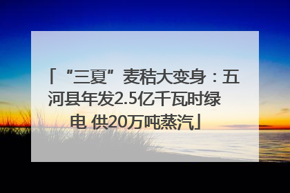 “三夏”麦秸大变身：五河县年发2.5亿千瓦时绿电 供20万吨蒸汽