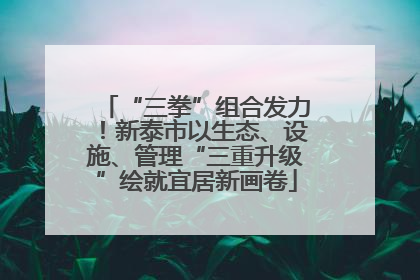 “三拳”组合发力！新泰市以生态、设施、管理“三重升级”绘就宜居新画卷