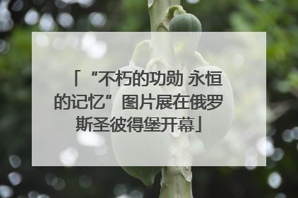 “不朽的功勋 永恒的记忆”图片展在俄罗斯圣彼得堡开幕