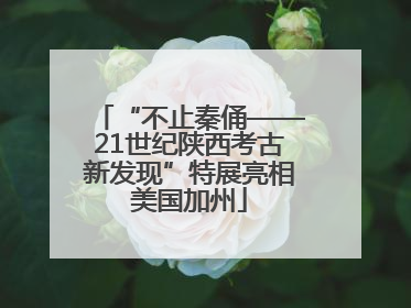 “不止秦俑——21世纪陕西考古新发现”特展亮相美国加州