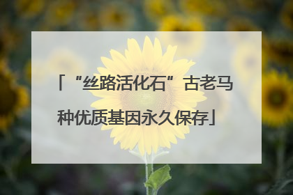 “丝路活化石”古老马种优质基因永久保存