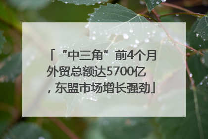 “中三角”前4个月外贸总额达5700亿，东盟市场增长强劲