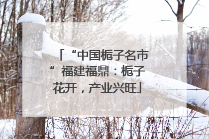 “中国栀子名市”福建福鼎：栀子花开，产业兴旺