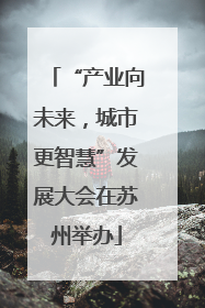 “产业向未来，城市更智慧”发展大会在苏州举办
