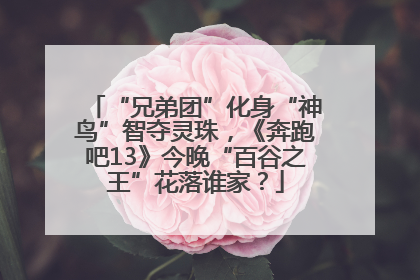 “兄弟团”化身“神鸟”智夺灵珠，《奔跑吧13》今晚“百谷之王”花落谁家？
