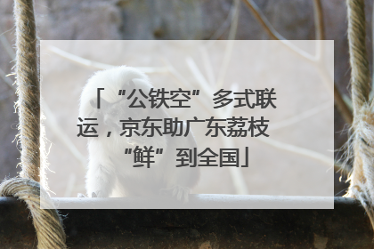 “公铁空”多式联运，京东助广东荔枝“鲜”到全国