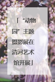“动物园”主题摄影展在清河艺术馆开展