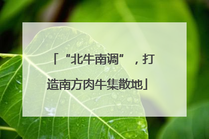 “北牛南调”，打造南方肉牛集散地