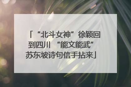 “北斗女神”徐颖回到四川 “能文能武”苏东坡诗句信手拈来
