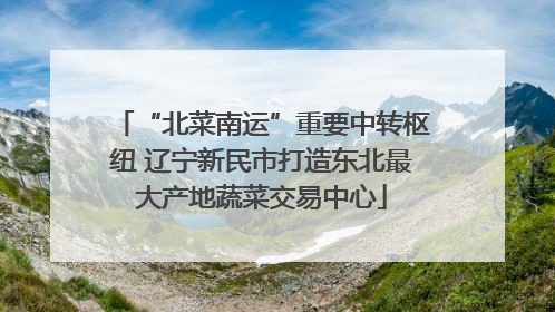 “北菜南运”重要中转枢纽 辽宁新民市打造东北最大产地蔬菜交易中心