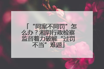“同案不同罚”怎么办？湘阴行政检察监督着力破解“过罚不当”难题