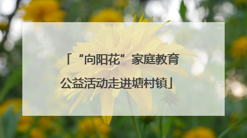 “向阳花”家庭教育公益活动走进塘村镇
