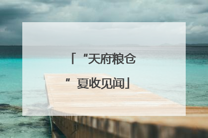 “天府粮仓”夏收见闻