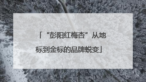 “彭阳红梅杏”从地标到金标的品牌蜕变