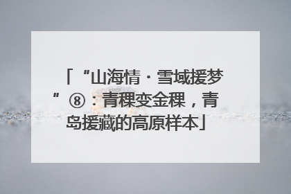 “山海情・雪域援梦”⑧：青稞变金稞，青岛援藏的高原样本