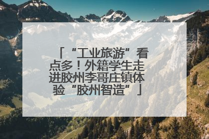 “工业旅游”看点多！外籍学生走进胶州李哥庄镇体验“胶州智造”