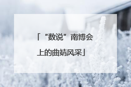 “数说”南博会上的曲靖风采