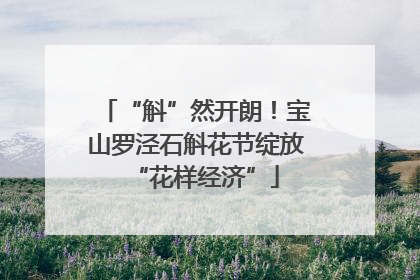“斛”然开朗！宝山罗泾石斛花节绽放“花样经济”