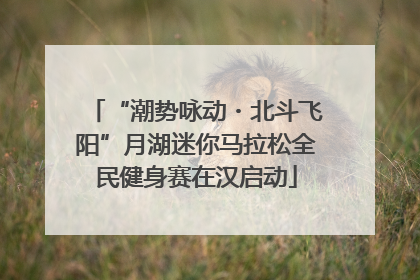 “潮势咏动・北斗飞阳”月湖迷你马拉松全民健身赛在汉启动