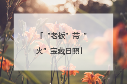 “老板”带“火”宝藏日照