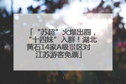 “苏超”火爆出圈，“十四妹”入群！湖北黄石14家A级景区对江苏游客免票