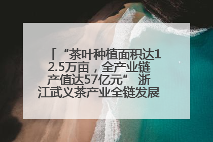 “茶叶种植面积达12.5万亩，全产业链产值达57亿元” 浙江武义茶产业全链发展“加速度”