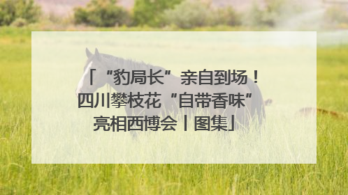 “豹局长”亲自到场！四川攀枝花“自带香味”亮相西博会丨图集