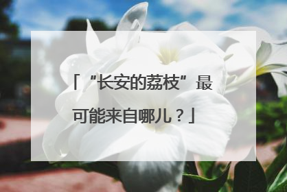 “长安的荔枝”最可能来自哪儿？
