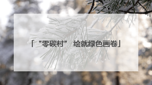 “零碳村” 绘就绿色画卷