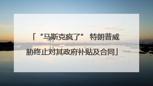 “马斯克疯了” 特朗普威胁终止对其政府补贴及合同