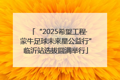“2025希望工程·蒙牛足球未来星公益行”临沂站选拔圆满举行
