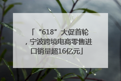 “618”大促首轮，宁波跨境电商零售进口销量超16亿元