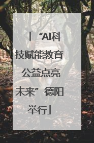 “AI科技赋能教育 公益点亮未来”德阳举行